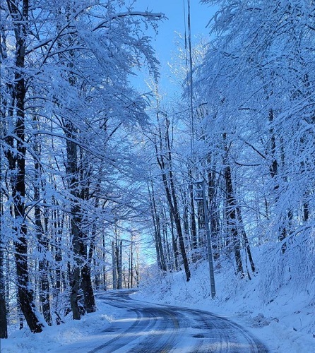 جنگل زیبای درازنو در زمستان